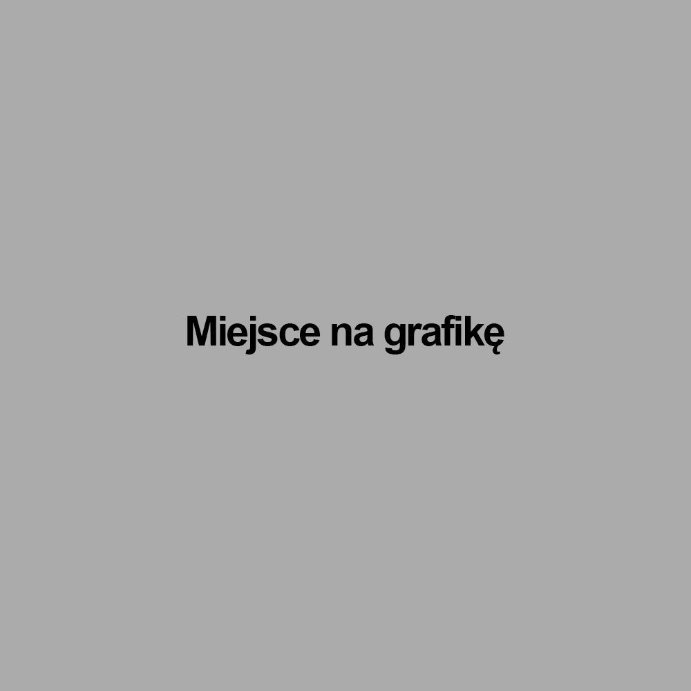Miejsce na grafikę